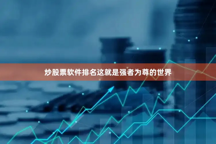 炒股票软件排名这就是强者为尊的世界