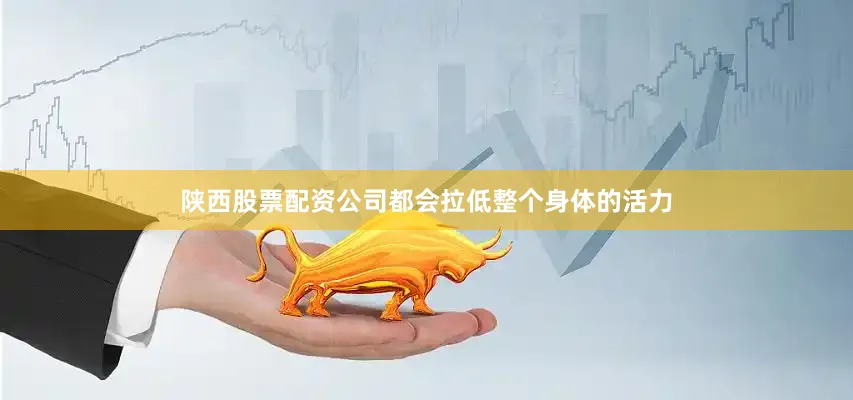陕西股票配资公司都会拉低整个身体的活力