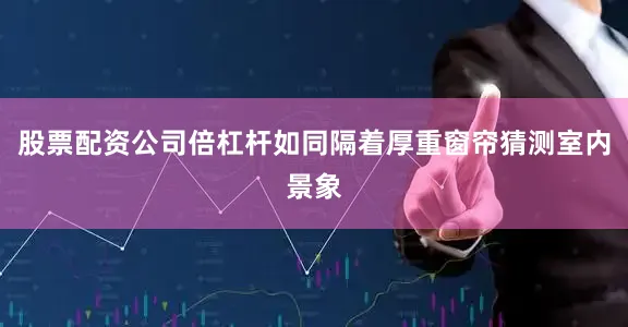 股票配资公司倍杠杆如同隔着厚重窗帘猜测室内景象