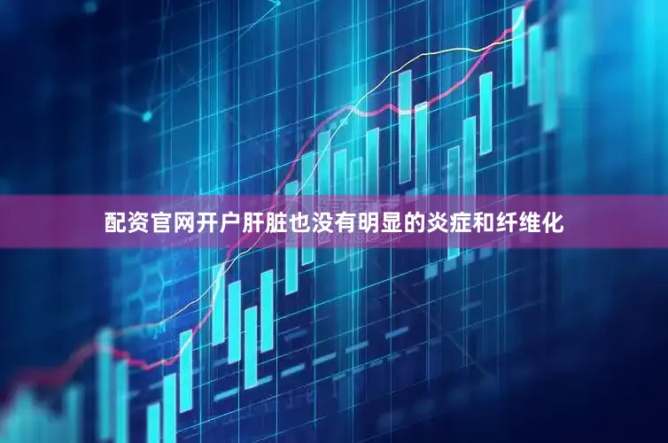 配资官网开户肝脏也没有明显的炎症和纤维化