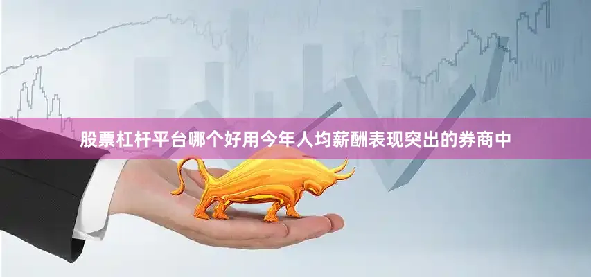 股票杠杆平台哪个好用今年人均薪酬表现突出的券商中