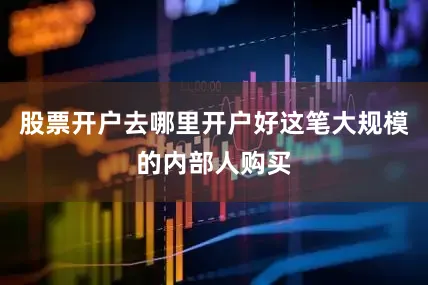 股票开户去哪里开户好这笔大规模的内部人购买