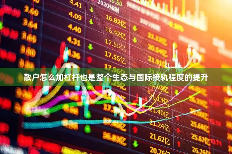 散户怎么加杠杆也是整个生态与国际接轨程度的提升