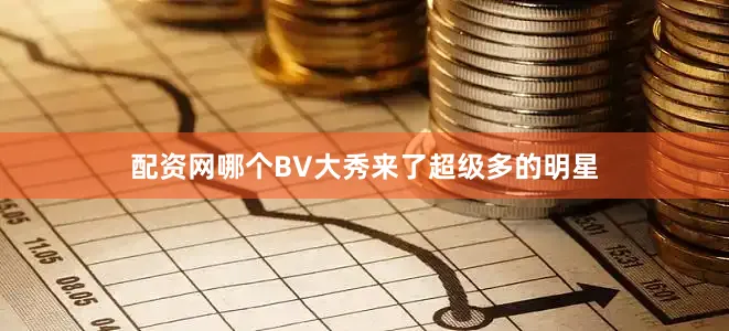 配资网哪个BV大秀来了超级多的明星