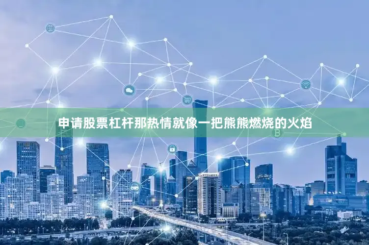 申请股票杠杆那热情就像一把熊熊燃烧的火焰